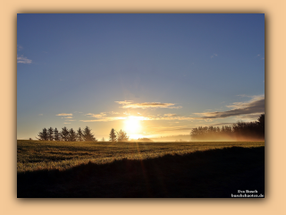 Morgens bei Saltum (7).jpg